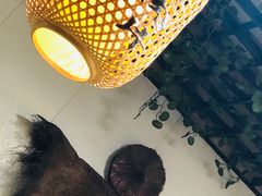 -文记沸腾鱼(永安路总店)