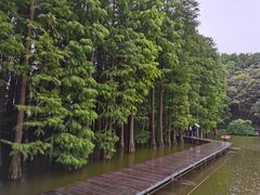 -采石矶景区