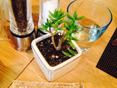 iphone_upload_pic-郑州建业艾美酒店