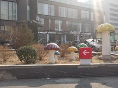 -熊叔熊婶面包房(团结湖店)