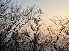 -穹窿山景区