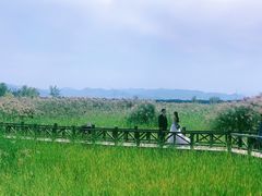 景点-野鸭湖国家湿地公园