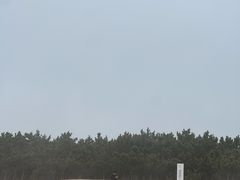 -日照海滨国家森林公园