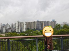 -金鸡山公园