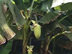 -太湖湾开元名庭大酒店