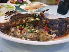 葱油石斑鱼-渔中舟海鲜大排档(普陀沈家门店)