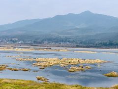 -腾冲北海湿地