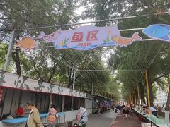 -哈尔滨道外花鸟鱼市场