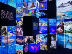 -上海中国航海博物馆