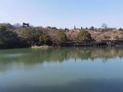 -白马涧龙池景区