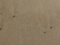 -仰口沙滩