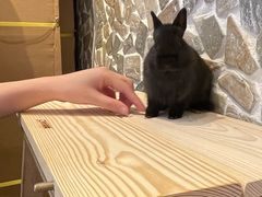 -龙猫仔乐园(惠福东路店)