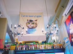 -猫咪博物馆(顶澳仔猫街店)