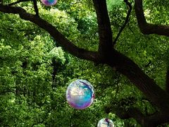 -上海共青森林公园