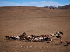 -塞罕坝国家级自然保护区