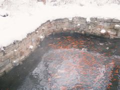 -水磨沟公园