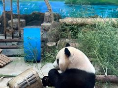 -杭州动物园