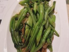 生炒广东菜心-大树餐厅(红旗街万达店)