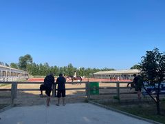 -北京群众马术培训基地