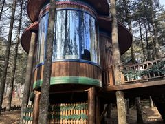 -洛阳白云山景区