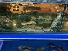 水产区-鑫釜山海鲜烧烤(浑南店)