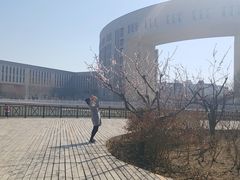 -国家动漫园