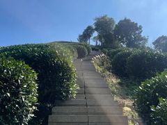 -午潮山国家森林公园