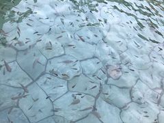 -崇阳三特浪口温泉