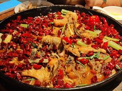 -老板恋上鱼(高新万达店)