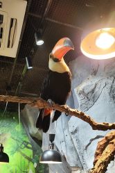 -Zoolung Zoolung动物主题公园(海信广场店)