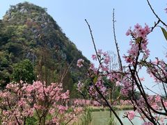 -星湖旅游景区七星岩