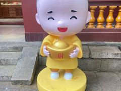 -深圳仙湖植物园