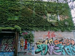 -黄桷坪涂鸦艺术街