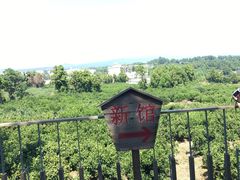 -朝安泰迪熊博物馆