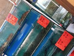 水产区-阿弟特色海鲜餐厅·大排档(平潭店)