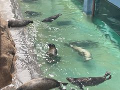-蓬莱欧乐堡海洋极地世界