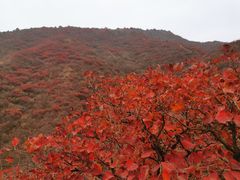 -水峪民俗村