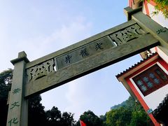 -十八棵（老龙井）御茶园(老龙井店)