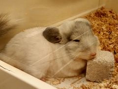 -龙猫仔乐园(惠福东路店)