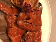 -子福慧(虹桥店)