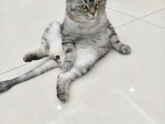 -全心全意连锁动物医院·微创中心·内科急重症·心脏专科(丰管路店)