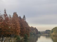 -苏州太湖国家湿地公园