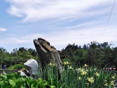 -黑龙江省森林植物园