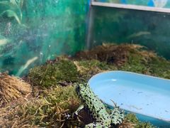 -上海大自然野生昆虫馆