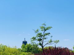 -永定河休闲森林公园