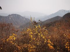 -大岭沟猕猴桃谷风景区