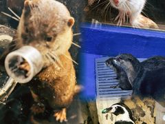 -太平洋海底世界