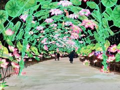 -沈阳奥体冰雪嘉年华