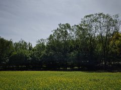 -北坞公园