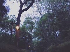 -法云古村